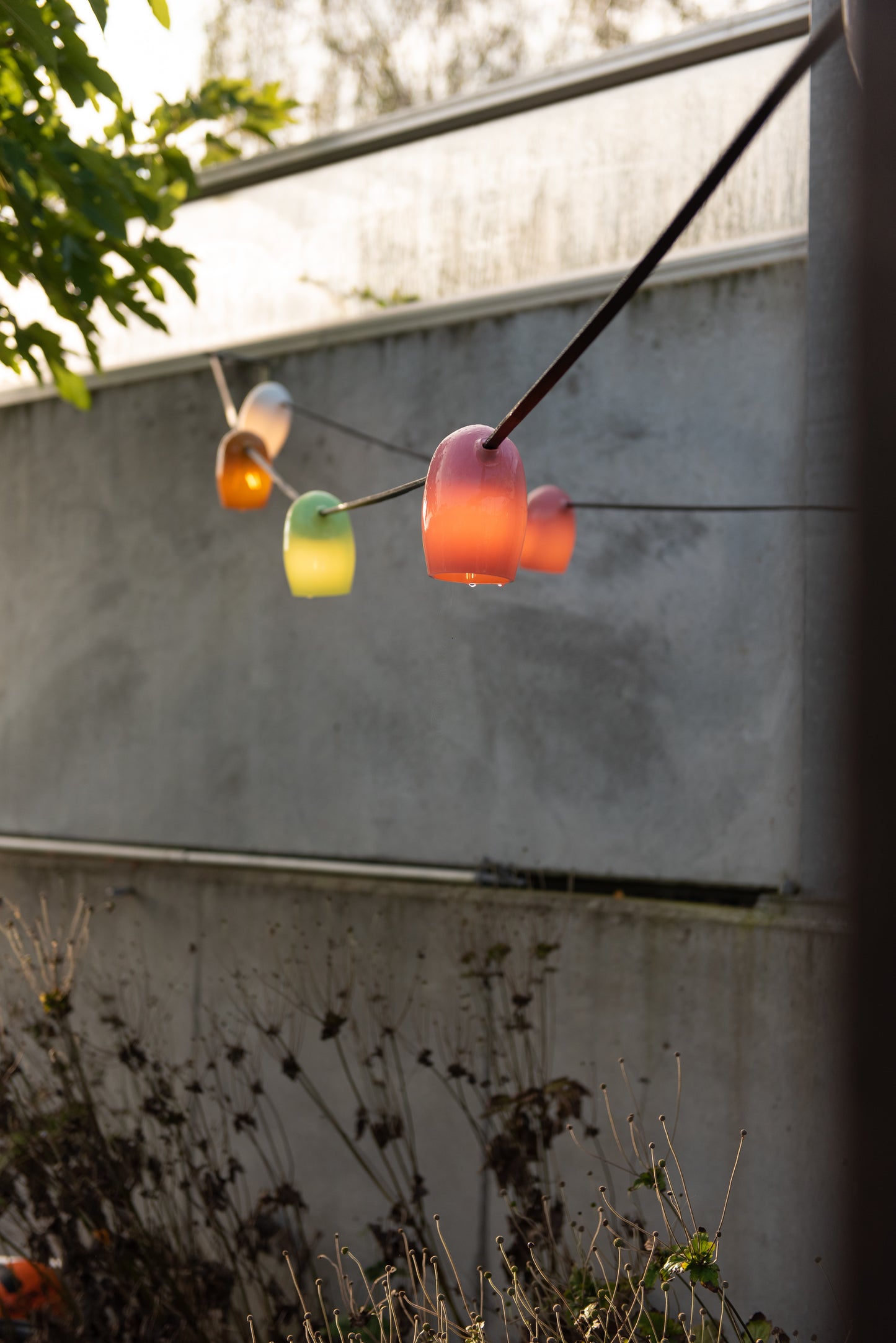 Stringlight Multicoloured