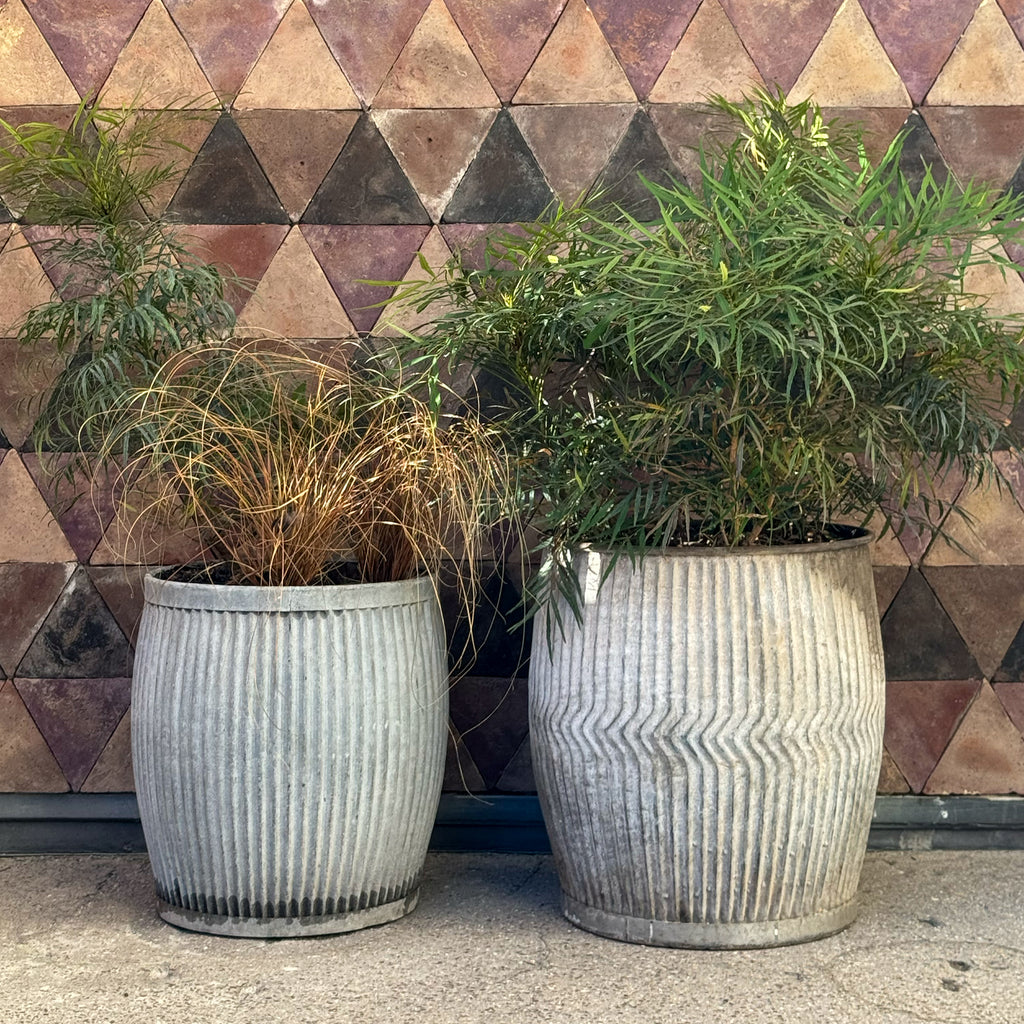 Dolly Tubes aus England