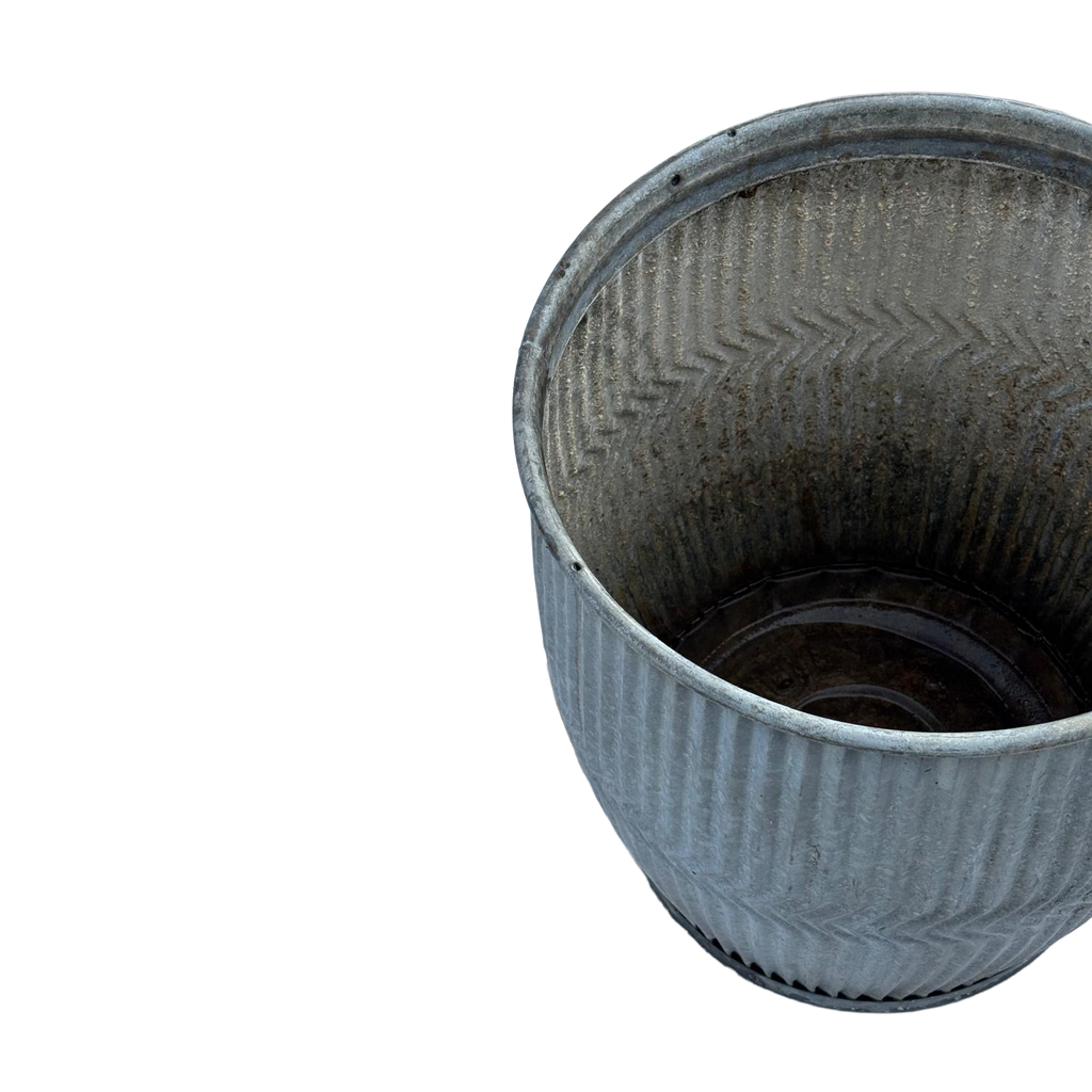 Dolly Tubes aus England