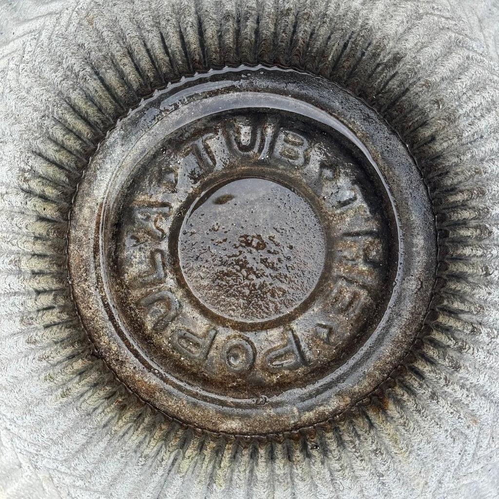 Dolly Tubes aus England